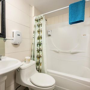 4-Bed Mixed Dormitory Room
